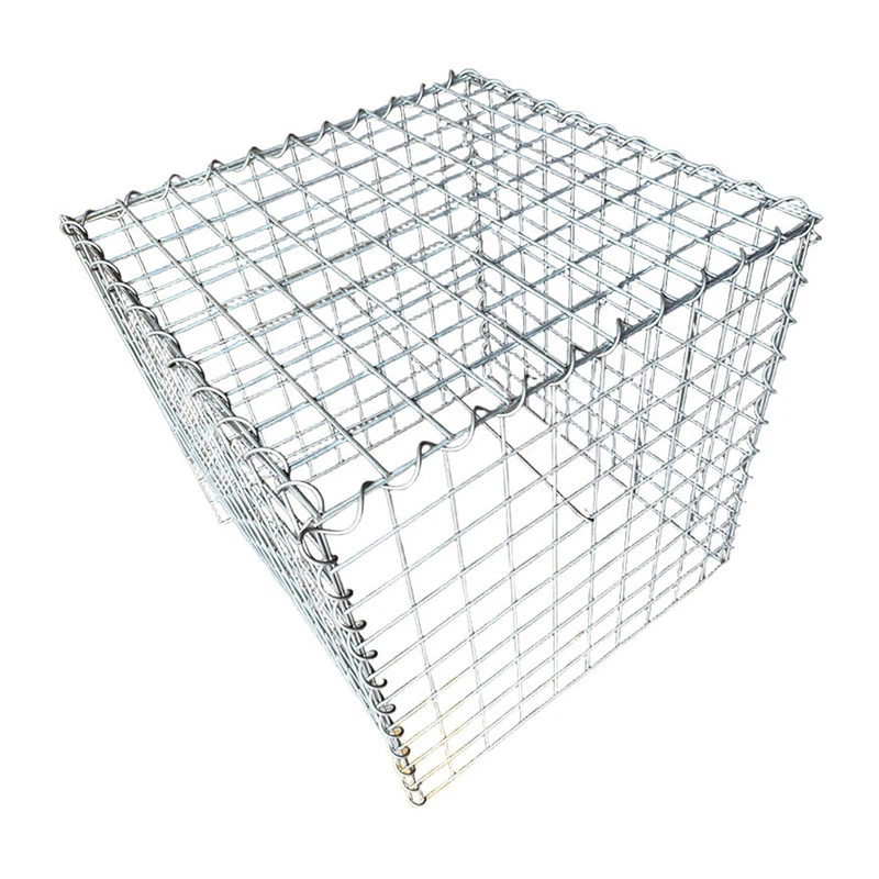 Gabion जाल